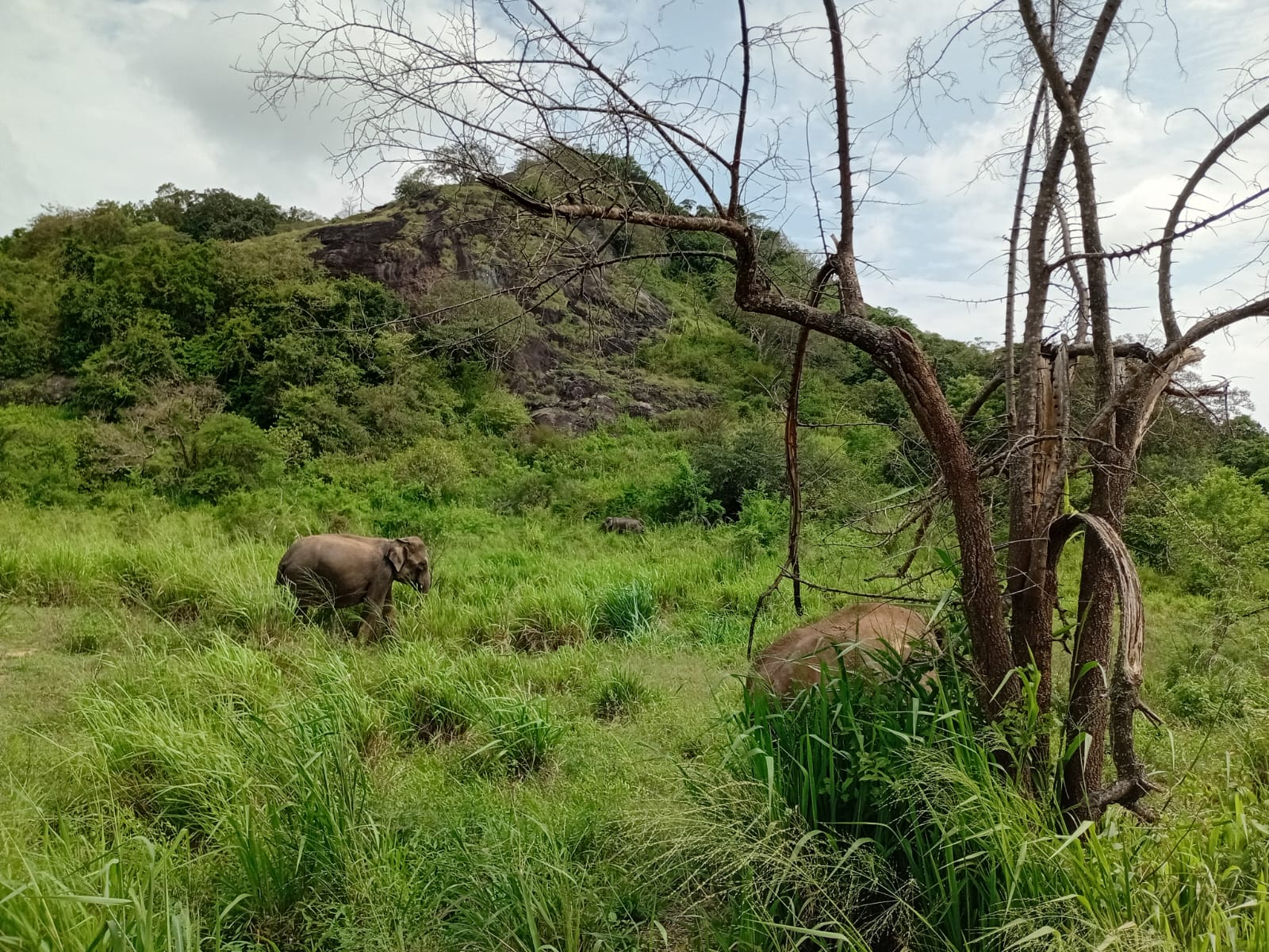 Safari Tour Moments